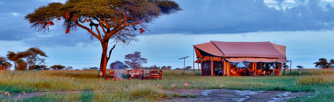 Featured image for Pumzika Luxury Safari Camp