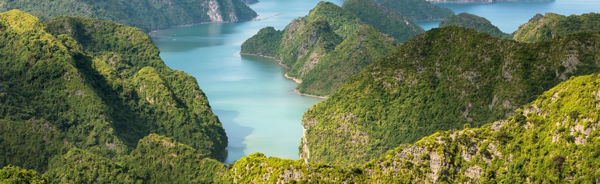 Featured image for Cat Ba National Park