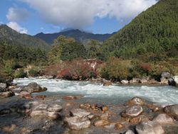 river paro running through Jigme Dorji