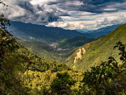 Podocarpus National Park valley landscape