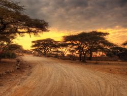 Serengeti National Park sunset over the road