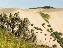 Sigatoka Sand Dunes National Park with flora