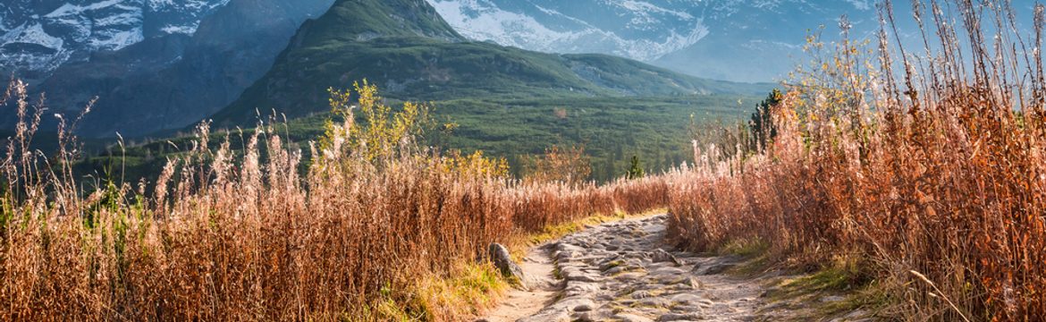 Featured image for Tatra National Park