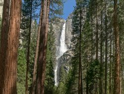 Yosemite National Park Yosemite Falls