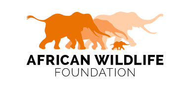WILD Foundation - Wilderness Conservation & Protection