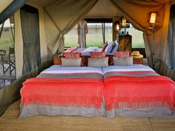 20210930215629 PUMZIKA tent king beds