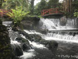 20210207002414 Beautiful waterfall in Tabacon springs