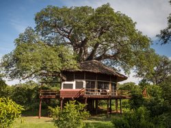20210924221654 Elewana Tarangire Treetops   accommodation   exterior view of Treehouse Suite (c) Silverless 6