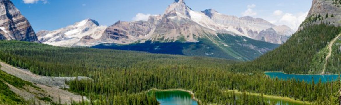 Featured image for Canada Physician's Prescribe National Parks to Patients