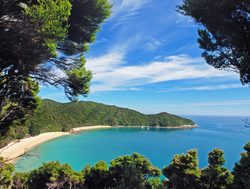 Abel Tasman National Park beach shoreline