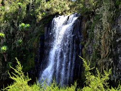 Aberdare National Park waterfall