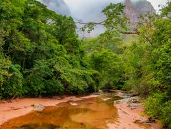 Amboro National Park stream