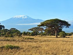 Amboseli National Park mount Kilimanjaro dry season