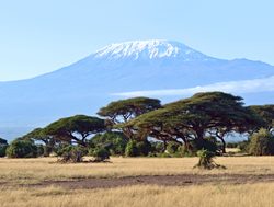 Amboseli National Park mount kilimanjaro in the dry season_465128945