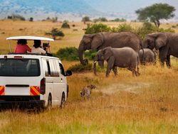 Amboseli National Park safari_571055650