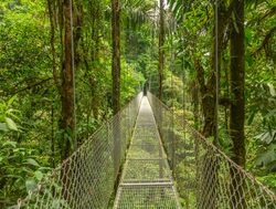 Arenal National Park rainforest skywalk