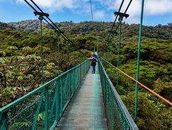 Arenal National Park skywalk through rainforest