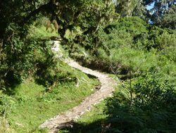 Arusha National Park park trail