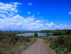 Arusha National Park road through park