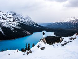 Banff National Park peyto lake in snow