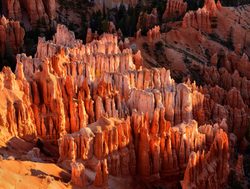 Shadows approaching for the hoodoos of Bryce Canyon