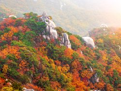 Bukhansan National Park fall foliage