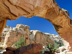 An arch in Capitol Reef of Utah