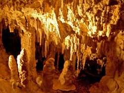 New Mexico%27s Carlsbad Cavern National Park