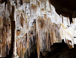 Several stalagtites in Carlsbad Cavern