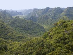 Cat Ba National Park rolling hills of vegetation