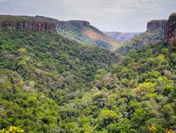 20220717123352 Chapada dos Guimaraes National Park forested valley