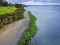 20211220230211 Chiloe National Park shoreline