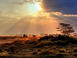 Chobe National Park sunset