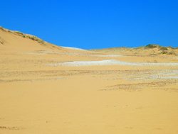 Coorong National Park large sand dune