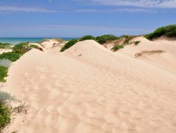 Coorong National Park sand dunes
