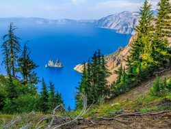 Pine trees on the site of Crater Lake in Oregon