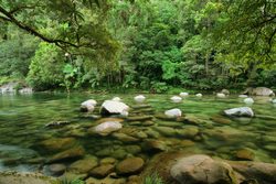 Parque Nacional Daintree Rainforest río mossman