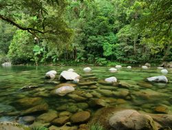 Daintree Rainforest National Park mossman river