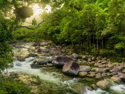 Daintree Rainforest National Park stream through the rainforest