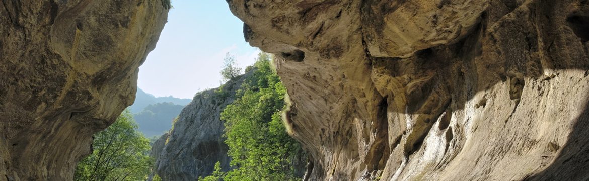 Featured image for Domogled-Valea Cernei National Park