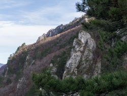 Domogled Valea Cernei National Park