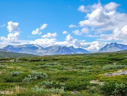 Dovrefjell Sunndalsfjella National Park landscape