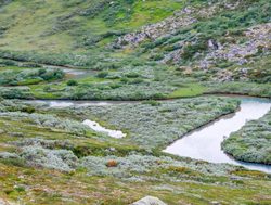 Dovrefjell Sunndalsfjella National Park stream