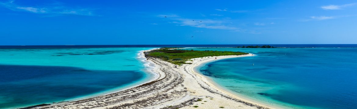 Featured image for Dry Tortugas National Park