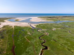 Dunes of Texel National Park aerial view
