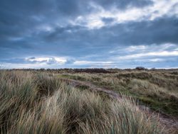 Dunes of Texel National Park developing weather