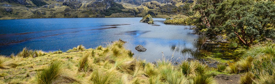 Featured image for El Cajas National Park