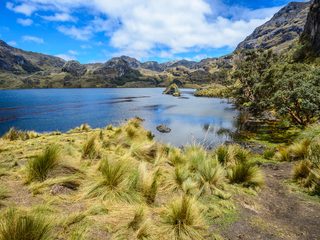 20210214010338-Toreadora Lake in El Cajas National Park Ecuador.jpg