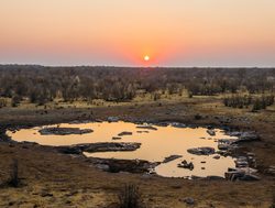 Etosha National Park watering hole at sunset