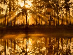 Everglades National Park Sunset